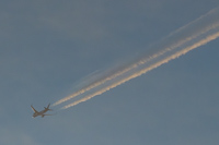 CC-CXD